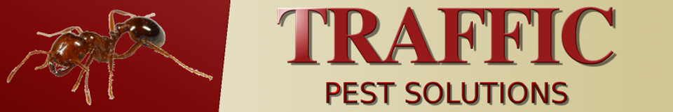 Traffic Pest Solutions' Blog